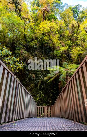 Raukuri Annif, Waitomo, Waikato, Nouvelle-Zélande Banque D'Images