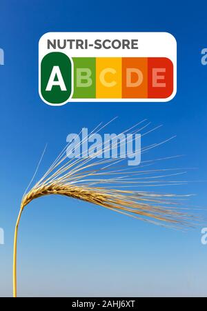 Ein Getreidefeld mit Gerste wartet auf die Ernte. Symbolfoto für Landwirtschaft und gesunde Ernährung. Einzelne Ähre, blauer Himmel, Nutri-Score Siège Banque D'Images
