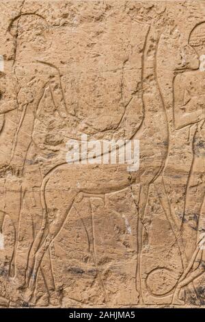 Egypte, temple de Beit El Wali, sur l'île, le lac Nasser Kalabsha. C'est un début de construction de Ramses II. Les peuples africains à la tête d'une girafe. Banque D'Images