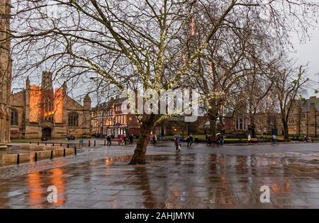 YORK ANGLETERRE arbres décorés avec des lumières à l'EXTÉRIEUR DE LA CATHÉDRALE À L'ENSEMBLE DE L'ÉGLISE HOLY TRINITY ET HAUTE PETERGATE Banque D'Images