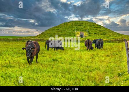 Maeshowe près de Stennes Village sur l'île principale d'Orkney Scotland est un bel exemple d'un tombeau chanfreiné et de plus de 5000 ans. Banque D'Images