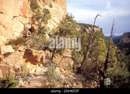 Sentier de la pointe de pétroglyphes, Mesa Verde, Colorado Banque D'Images