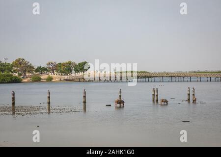 Vue sur l'île historique Fadiauth. Le Sénégal. L'Afrique de l'Ouest. Banque D'Images