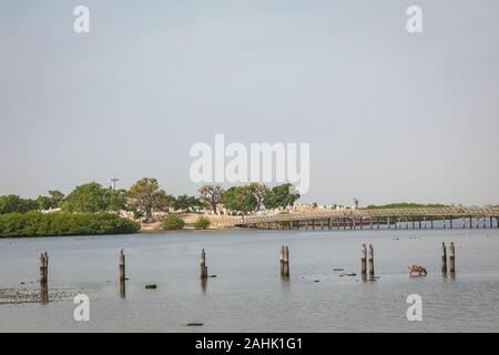Vue sur l'île historique Fadiauth. Le Sénégal. L'Afrique de l'Ouest. Banque D'Images