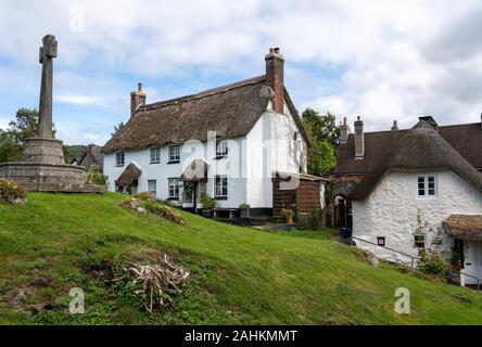 Les maisons blanchies à la chaux qui entourent le village vert dans le joli village de Lustleigh Devon Banque D'Images