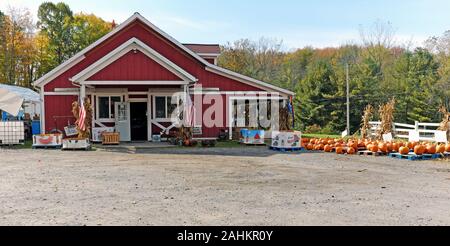 Ohio Rural Route magasin avec les citrouilles et décor de l'automne. Banque D'Images