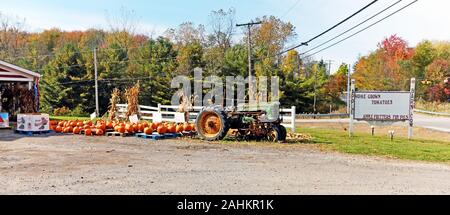 Ohio Rural Route magasin avec les citrouilles et décor de l'automne. Banque D'Images