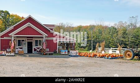 Ohio Rural Route magasin avec les citrouilles et décor de l'automne. Banque D'Images