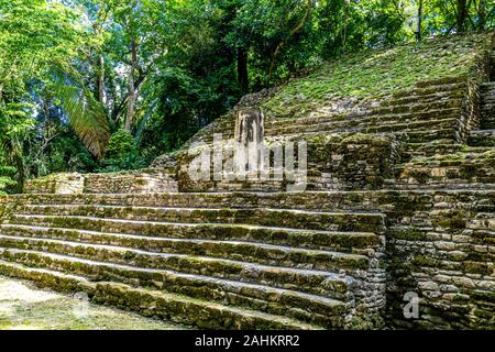 Réserve archéologique Lamanai ruines maya Belize jungle Stella Banque D'Images