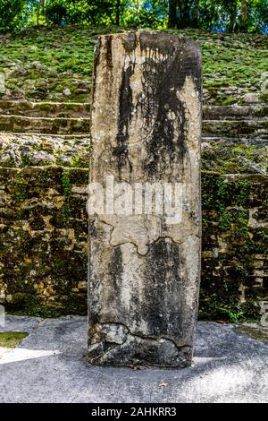 Réserve archéologique Lamanai ruines maya Belize jungle Stella Banque D'Images