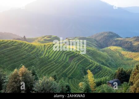 Les terrasses de riz de Longji dans Ping An, Guangxi, Chine Banque D'Images