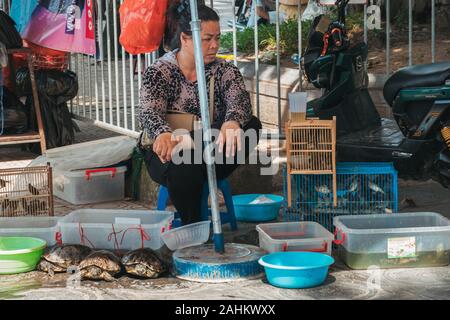 Une femme vend des tortues vivantes attaché avec de la ficelle ou conservés dans des récipients en plastique, et les oiseaux, sur la route, près du lac Tây Hồ, Hanoi, Vietnam Banque D'Images