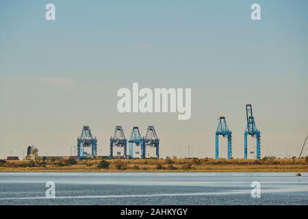 Les quais du chantier naval pour conteneurs avec grandes grues pour charger et décharger un navire porte-conteneurs dans le port de Mobile en Alabama, USA. Banque D'Images