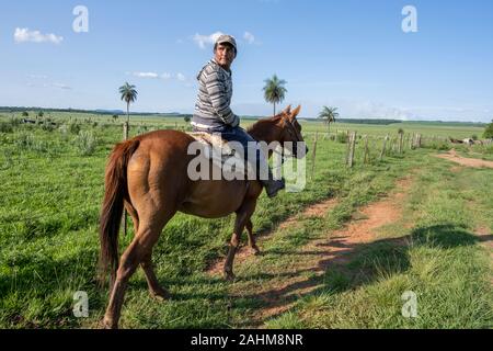 Cowboys travaillant dans un ranch à Santiago, au Paraguay Banque D'Images