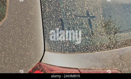 Le mot 'dust' est écrit dans la poussière à la fenêtre arrière d'une voiture dans le Parc National de Kosciuszko ; dans le temps chaud et sec de l'été 2019-2020 Banque D'Images