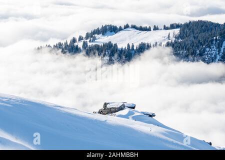 Forêt d'hiver de l'île dans une mer de brouillard Banque D'Images