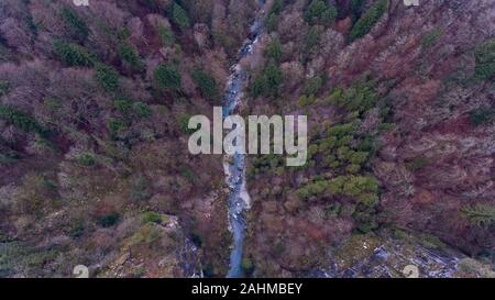 En vue de l'op d'un drone de la gorge de la rivière qui coule à travers un paysage alpin forêt brumeuse sur un hivers brumeux jour. Banque D'Images