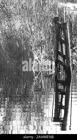 La porte inondée en roseaux noir et blanc Banque D'Images