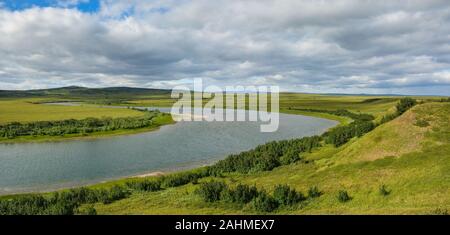 La toundra de la péninsule de Yamal. Panorama de la toundra d'été du Parc Naturel de l'Oural polaire. Banque D'Images