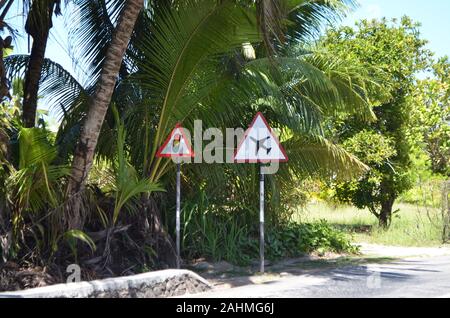 Cours / chemin à travers la forêt sur les Seychelles Banque D'Images