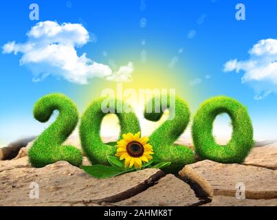 En 2020 une forme d'une herbe poussant dans un sol sec avec soleil levant l'arrière-plan. Banque D'Images