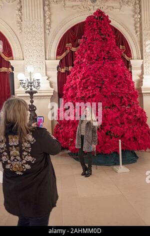 Les touristes prendre des photos de téléphone cellulaire en face d'un énorme arbre de Noël dans le Grand Hall de l'hôtel particulier des disjoncteurs à Newport, Rhode Island. Banque D'Images