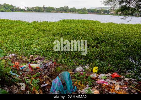 Aurangabad, Maharashtra, Inde - le 15 août 2019 : Le Dr Salim Ali Lake être pollué en raison de jeter des ordures Banque D'Images