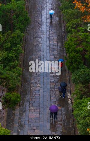S'élevant dans la banlieue est de Nanjing, Purple Mountain (Parc National du Mont Zhongshan Banque D'Images