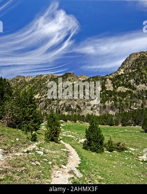 La pente dans la vallée de Madriu-Perafita-Claror en Andorre avec un pré, forêt de sapins et montagnes des Pyrénées avec une belle texture de nuages dans le ciel Banque D'Images