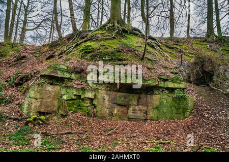 Ancienne carrière de grès dans Cobnar Bois, maintenant partie de tombes Park, Sheffield. Le site a été un théâtre en plein air des années 1930 aux années 1950. Banque D'Images