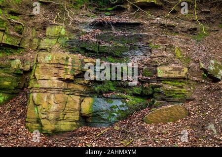 Ancienne carrière de grès dans Cobnar Bois, maintenant partie de tombes Park, Sheffield. Le site a été un théâtre en plein air des années 1930 aux années 1950. Banque D'Images