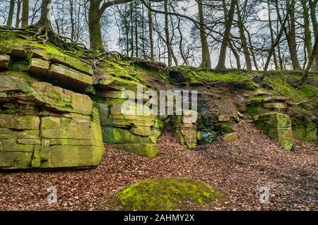 Ancienne carrière de grès dans Cobnar Bois, maintenant partie de tombes Park, Sheffield. Le site a été un théâtre en plein air des années 1930 aux années 1950. Banque D'Images