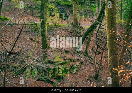 Ancienne carrière de grès qui affleurent et lit dans Cobnar Bois, maintenant partie de tombes Park, Sheffield. Banque D'Images