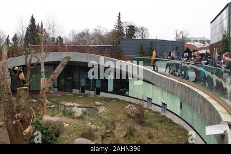 Copenhague, Danemark. Dec 29, 2019. Les touristes regarder panda géant Mao Er est au Zoo de Copenhague à Copenhague, Danemark, le 29 décembre 2019. Le panda géant chinois couple Xing er er Mao et est arrivé à Copenhague Zoo le 4 avril 2019 en vertu d'un 15-année Sino-Danish Panda la coopération internationale en matière de recherche du projet. Credit : Lin Jing/Xinhua/Alamy Live News Banque D'Images