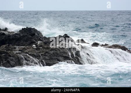 Le long de la côte sauvage de Madère, Portugal Banque D'Images