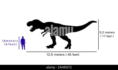 Taille Comparaison entre tyrannosaurus rex et les droits. Illustration de silhouette de tyrannosaurus rex par rapport aux corps Le corps humain Banque D'Images