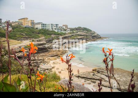 Amérique. 06 Dec, 2019. L'Australie 2019 : Impressions Australie - Novembre/Décembre 2019 - promenade côtière/Sydney | utilisée dans le monde entier : dpa Crédit/Alamy Live News Banque D'Images