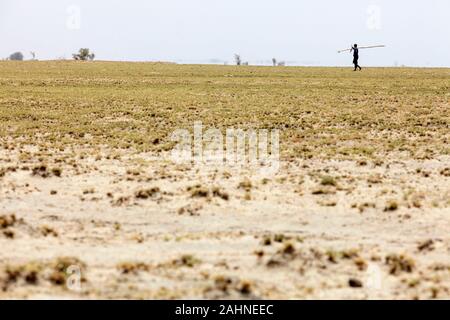 Homme avec un long bâton de marche paysage sec près du lac Turkana, frontière de l'Ethiopie et le Kenya Banque D'Images