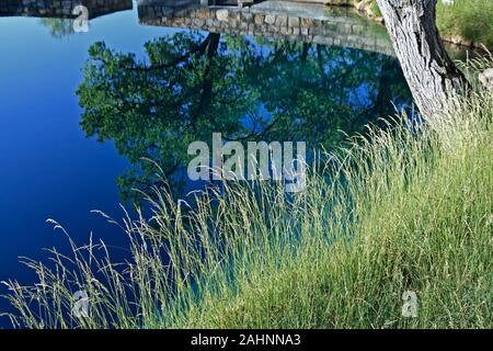 L'herbe et Blue Hole, Santa Rosa, Nouveau Mexique USA Banque D'Images