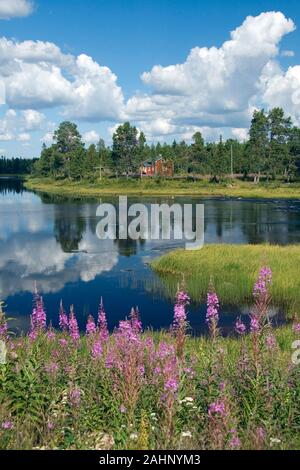 Skandinavien, Finnland, Europa, Laponie, Landschaft im Pallas-Ounas-Tunturi-Nationalpark, Fluss Ounasjoki bei Peltovuoma Banque D'Images