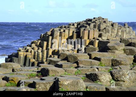 Spectaculaire littoral de stepping stones et de colonnes de basalte de la Chaussée des Géants, le comté d'Antrim, Irlande du Nord, au Royaume-Uni, en Europe. Banque D'Images