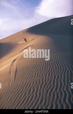 Jeune homme à bord d'une grande dune de sable dans le désert. Banque D'Images