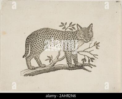 Thomas Bewick. Le Serval. 1773-1828. L'Angleterre. Xylographie sur papier vélin ivoire Banque D'Images