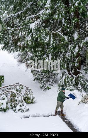 Issaquah, Washington, USA. Homme mûr à pelleter la neige profonde dans son allée durant une chute de neige. Banque D'Images