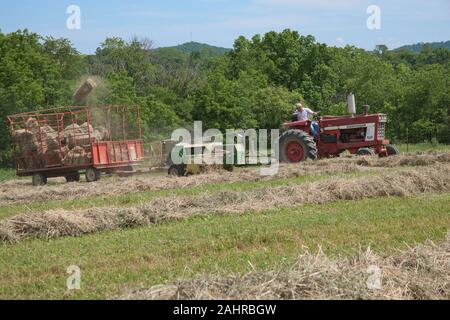 International Harvester Farmall homme sur le tracteur, la mise en balles de foin dans un champ avec un vol de balle en l'air, à Galena, Illinois, USA. (Pour un usage éditorial uniquement Banque D'Images