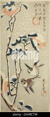 Utagawa Hiroshige. Les moineaux et camélia dans la neige. 1826-1838. Le Japon. Gravure sur bois en couleur ; otanzaku deux versions de ce modèle existent dans l'Art de la collection de l'Institut, chaque imprimé par un éditeur différent. Cette image est pensée pour être la plus tardive des deux versions. La différence la plus frappante entre les deux impressions est le rendu de la couleur du ciel. Banque D'Images