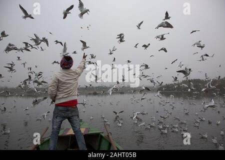 New Delhi, Inde. 31 Dec, 2019. Un homme se nourrit d'oiseaux migrateurs en rivière Yamuna à New Delhi, Inde, le 31 décembre 2019. Credit : Javed Dar/Xinhua/Alamy Live News Banque D'Images