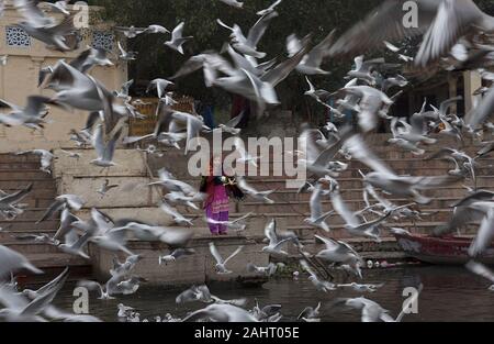 New Delhi, Inde. 31 Dec, 2019. Une femme nourrit les oiseaux migrateurs à la rivière Yamuna à New Delhi, Inde, le 31 décembre 2019. Credit : Javed Dar/Xinhua/Alamy Live News Banque D'Images