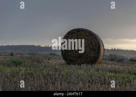 Haymow unique sur le terrain au cours de matin Banque D'Images