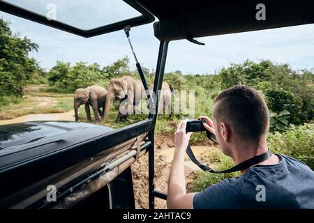 Photographie de groupe d'éléphants. Jeune homme sur safari voyage en voiture tout-terrain au Sri Lanka. Banque D'Images